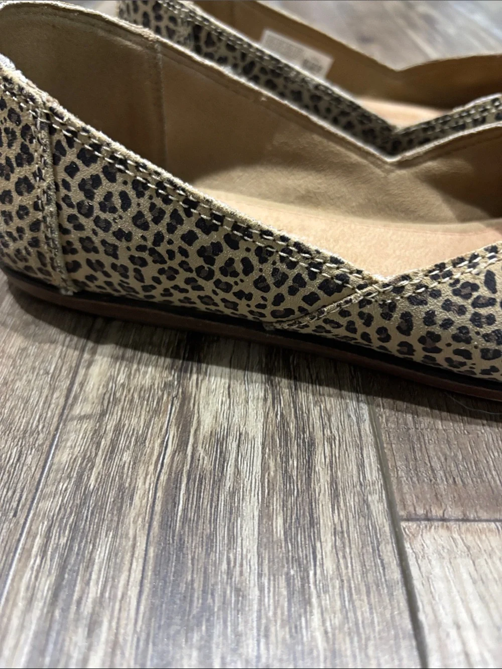 Toms chic leopard